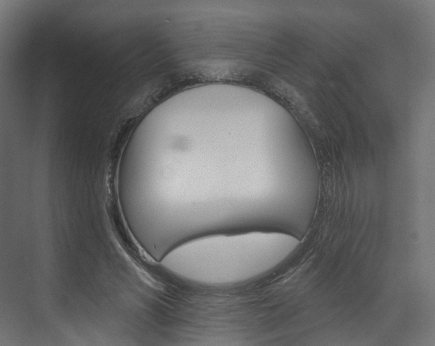 X0000074240590200608250844