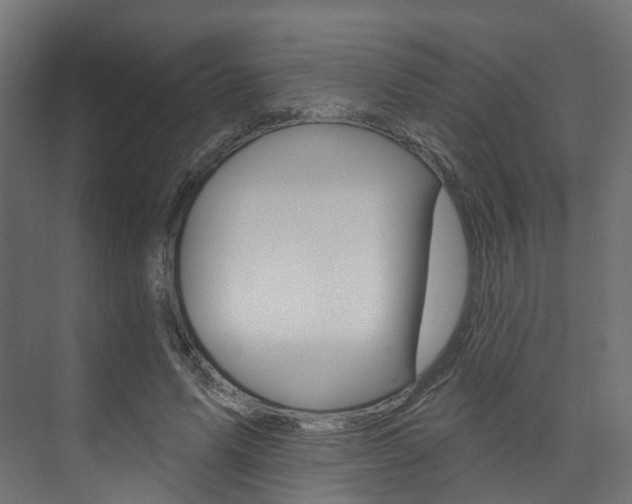 X0000074240591200608250844