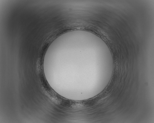 X0000074240594200608250844