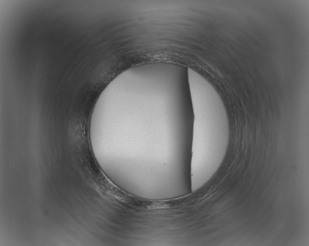 X0000074240603200608250844