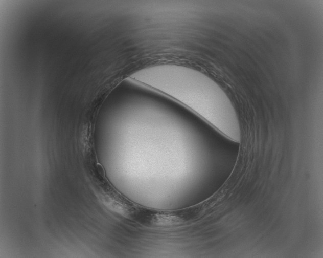 X0000074240605200608250844
