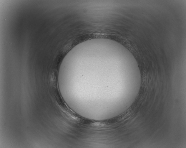 X0000074240614200608250844