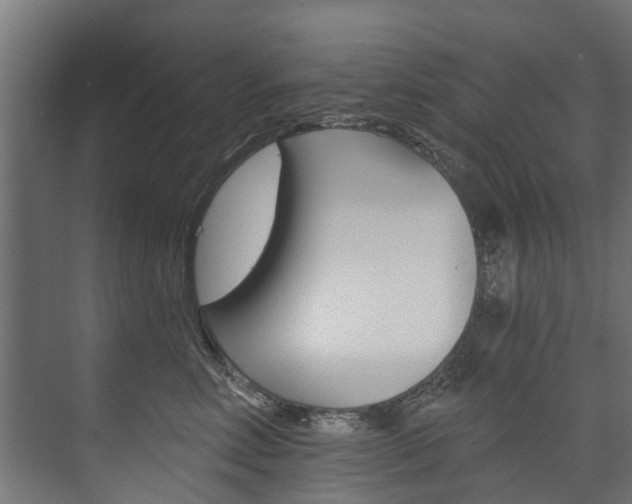 X0000074240618200608250844