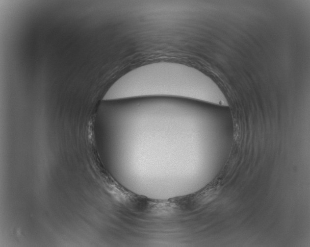 X0000074240621200608250844
