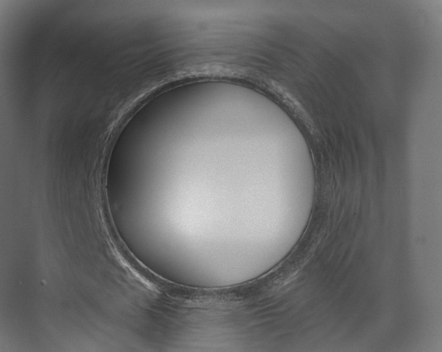 X0000074240625200608250843