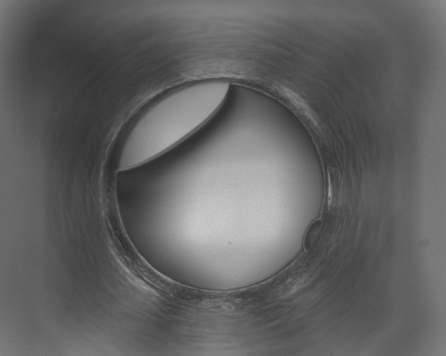 X0000074240627200608250843