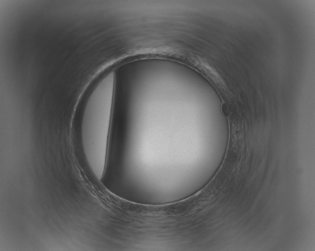 X0000074240628200608250843