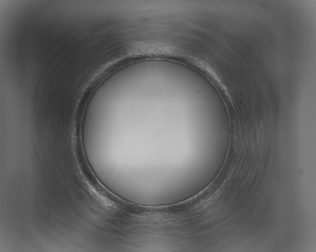 X0000074240629200608250843