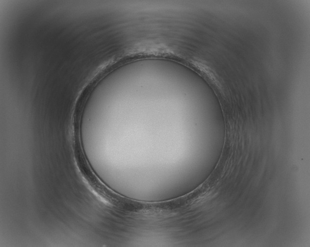 X0000074240630200608250843