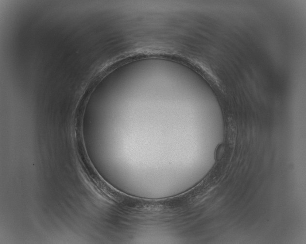 X0000074240631200608250843
