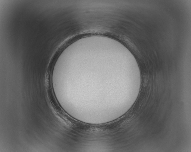 X0000074240632200608250843
