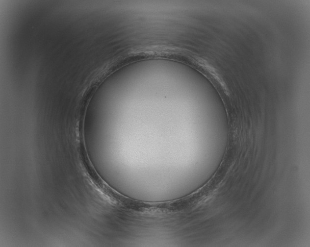 X0000074240633200608250843