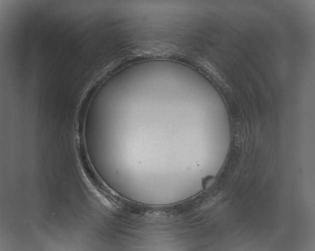 X0000074240634200608250843