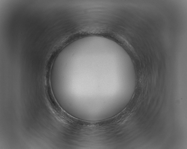 X0000074240635200608250843