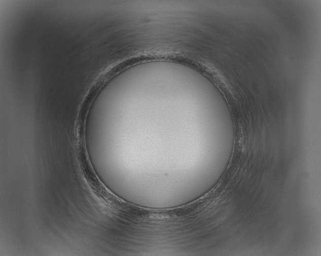 X0000074240636200608250843