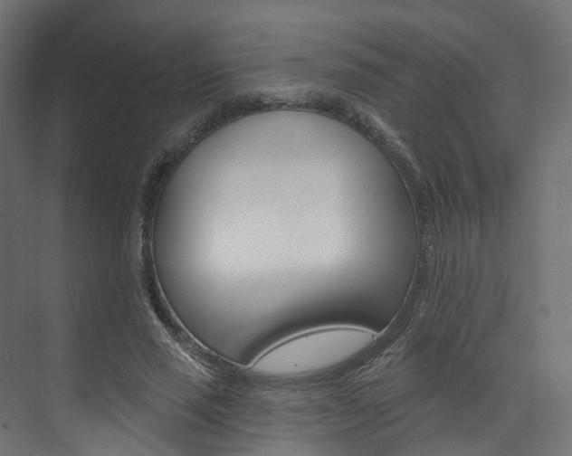 X0000074240637200608250843