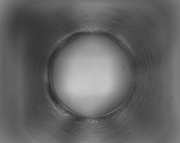 X0000074240640200608250843