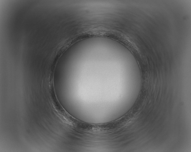 X0000074240641200608250843