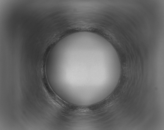 X0000074240642200608250843