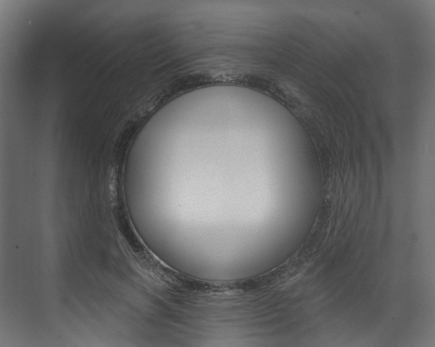 X0000074240646200608250843