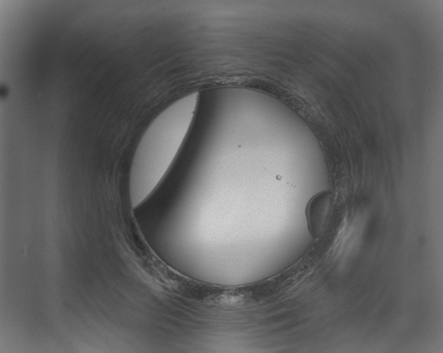 X0000074240647200608250843