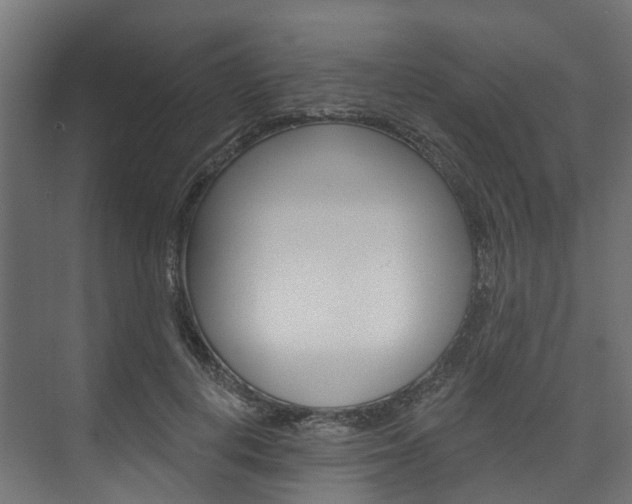 X0000074240648200608250843