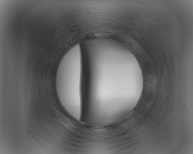 X0000074240653200608250843