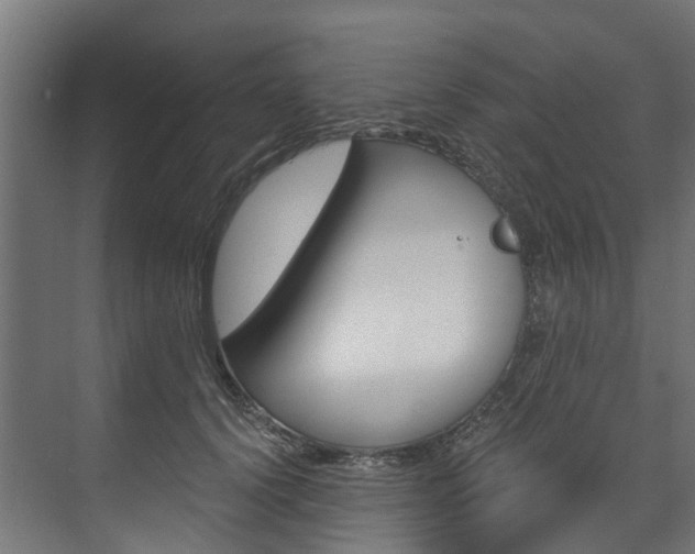 X0000074240656200608250843