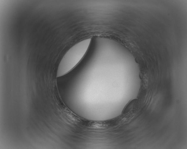 X0000074240657200608250843