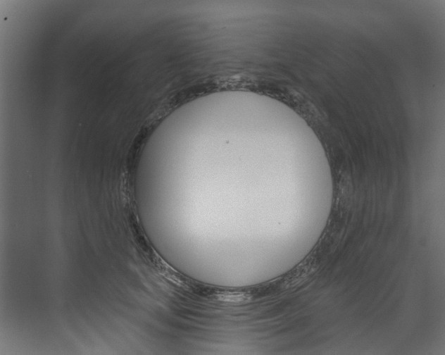 X0000074240659200608250843