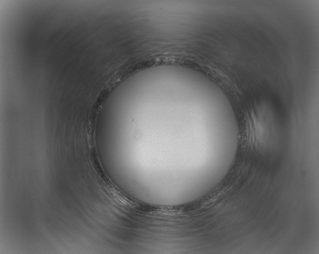 X0000074240661200608250843
