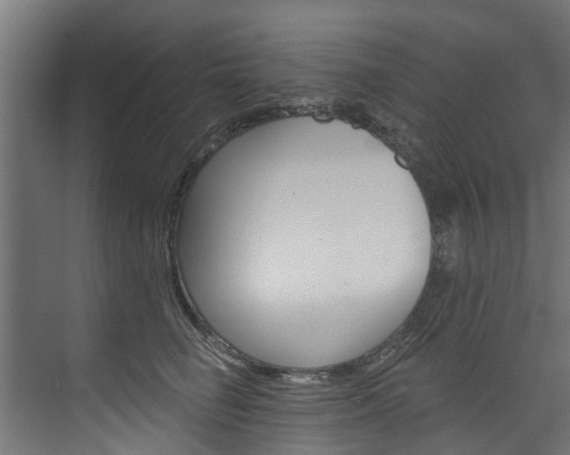 X0000074240662200608250843