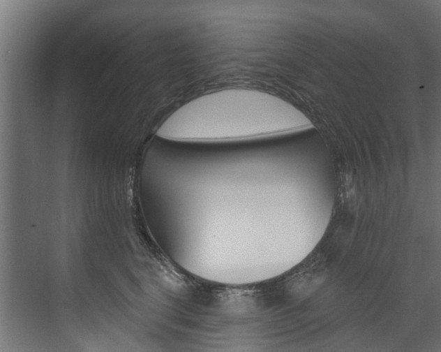 X0000074240664200608250843