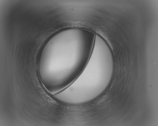 X0000074240673200608250843