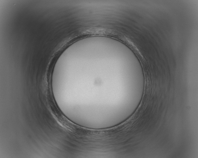 X0000074240674200608250843