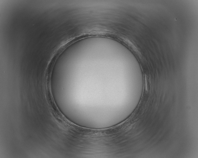 X0000074240675200608250843
