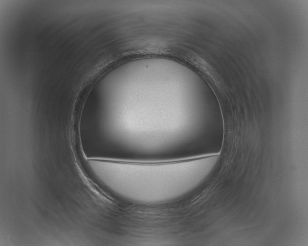 X0000074240677200608250843