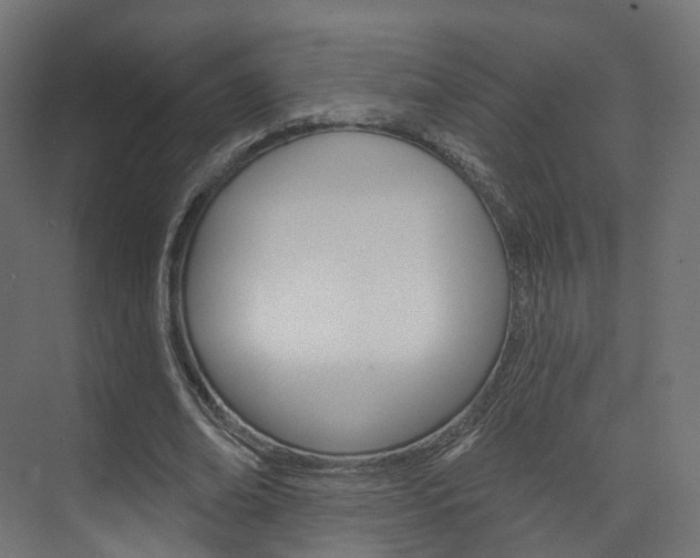 X0000074240678200608250843