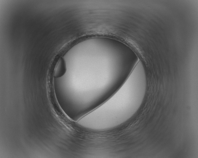 X0000074240680200608250843
