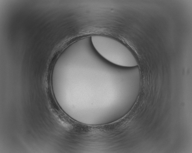 X0000074240682200608250842