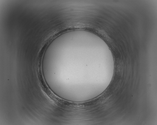 X0000074240683200608250842