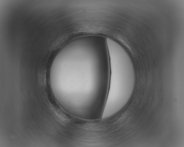 X0000074240685200608250842