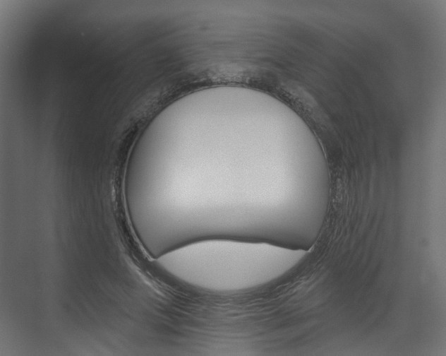 X0000074240687200608250842