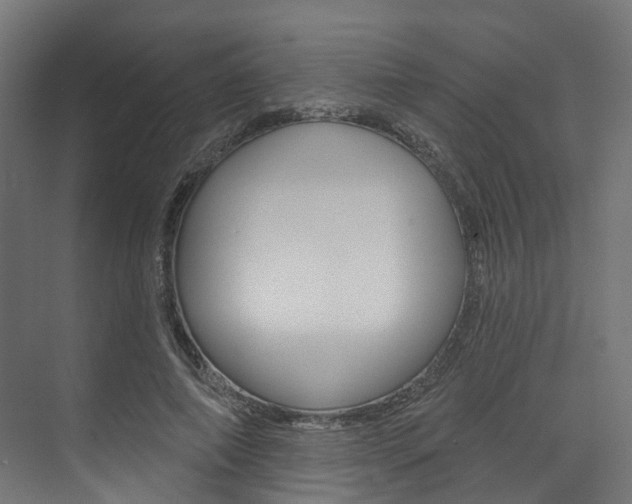 X0000074240690200608250842