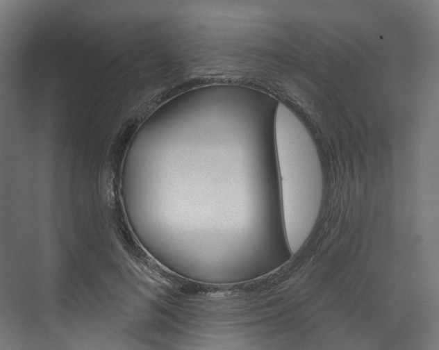 X0000074240692200608250842