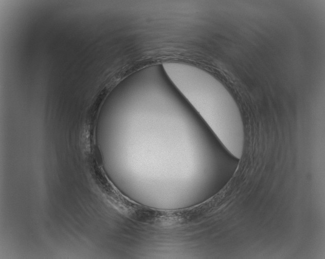X0000074240696200608250842