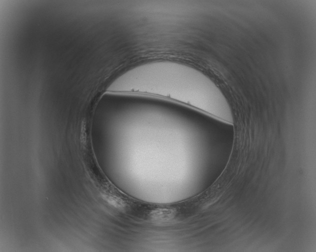 X0000074240700200608250842