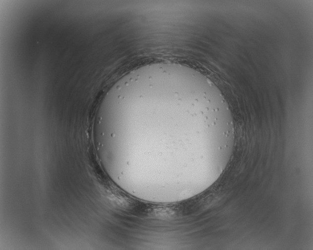 X0000074240702200608250842