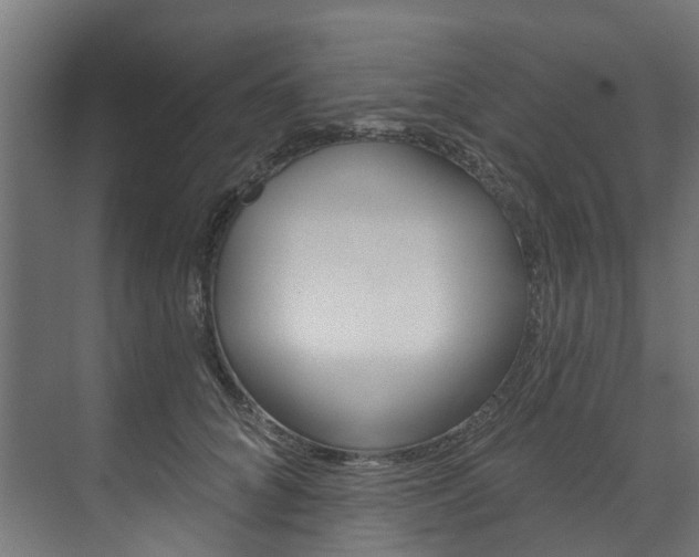 X0000074240704200608250842