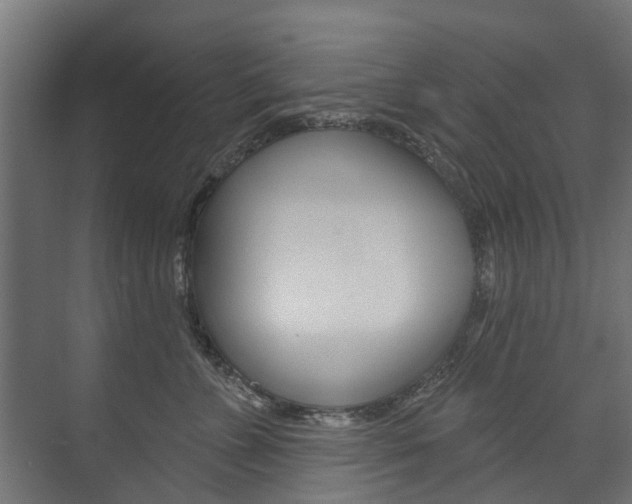 X0000074240715200608250842